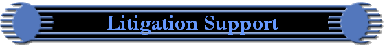 Litigation Support